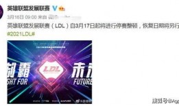 scgo最新爆料,揭秘娱乐圈最新动态与幕后故事